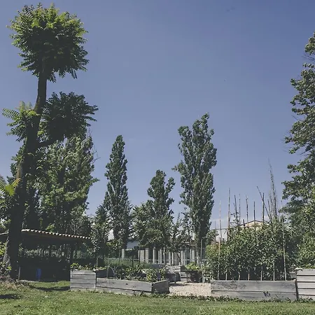 Bed & Breakfast La Luna Nel Pozzo *
