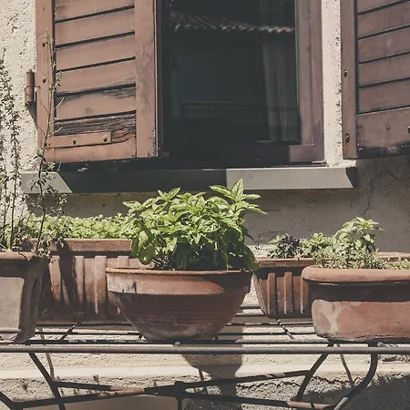 Bed & Breakfast La Luna Nel Pozzo Parma